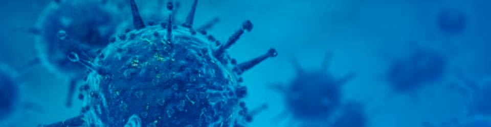 banner coronavírus