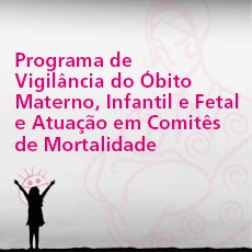 Programa de Formação em Vigilência do Óbito Materno, Infantil e Fetal e Atuação em Comitês de Mortalidade